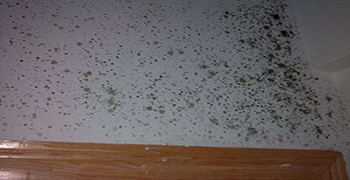 墻壁發(fā)霉解決方案