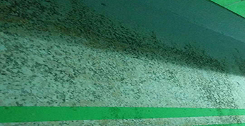 車庫除完霉后多久可以正常使用？