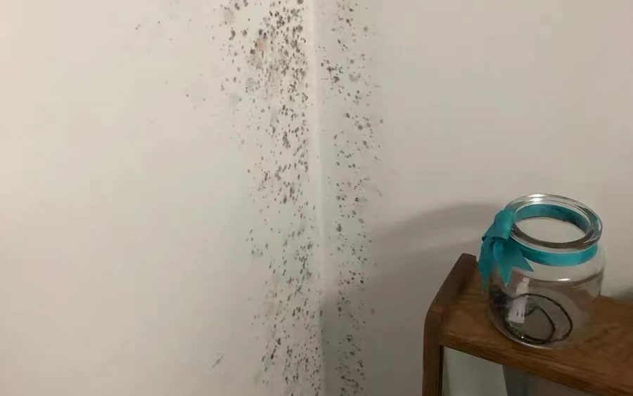 墻面發(fā)霉怎么處理？教你一招自己在家就能解決