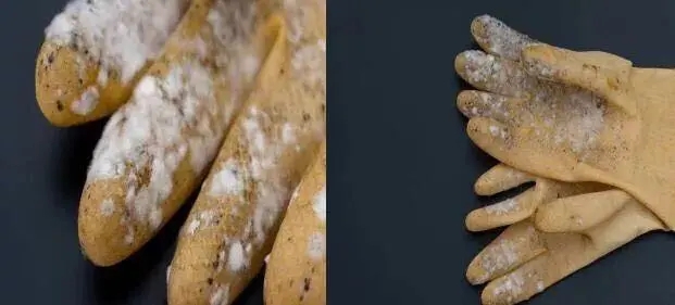塑膠手套發(fā)霉了怎么辦？工廠必看塑膠手套防霉方案！