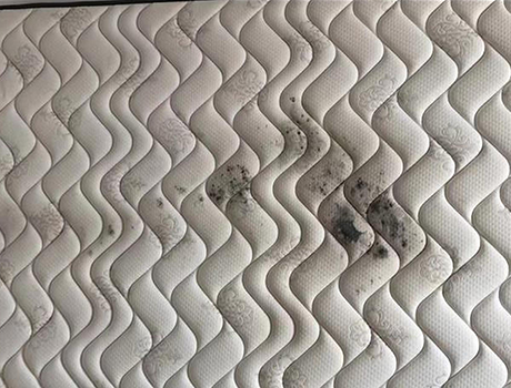 床墊發(fā)霉如何處理，霉菌對(duì)身體有危害嗎？