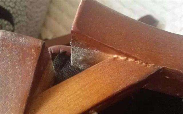 涂料除霉劑 涂料除霉劑