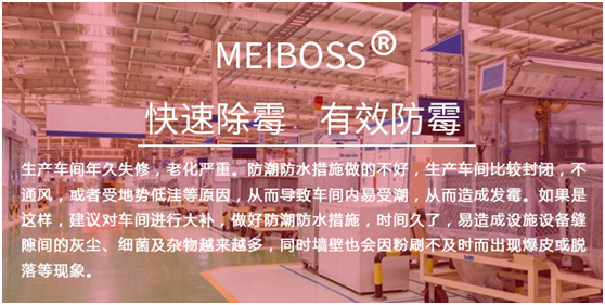 生產(chǎn)車間專用除霉劑