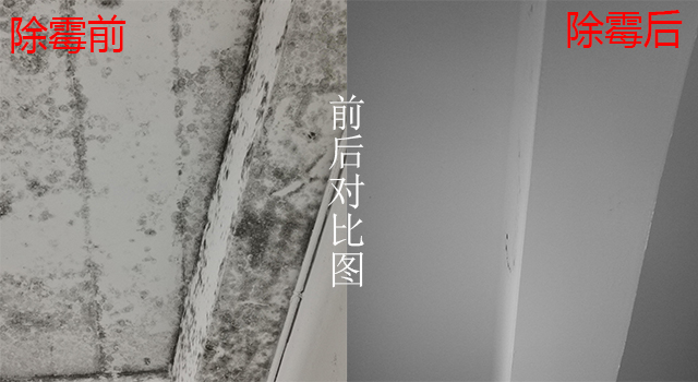 細(xì)節(jié)除霉對(duì)比圖