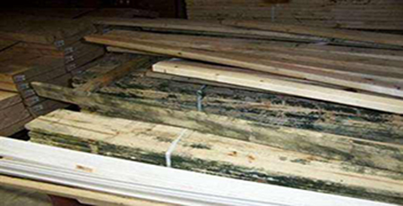 木材發(fā)霉