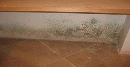 宿舍發(fā)霉 宿舍發(fā)霉