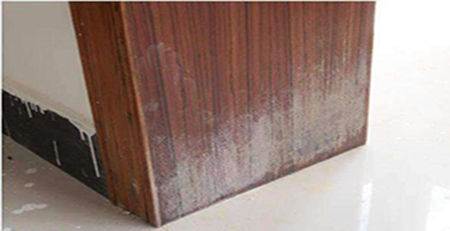 木門發(fā)霉 木門發(fā)霉