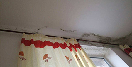 二手房發(fā)霉