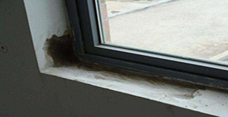 窗邊發(fā)霉 窗邊發(fā)霉