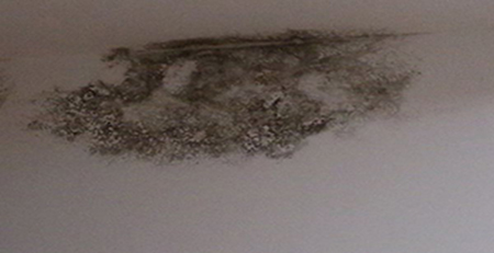墻面發(fā)霉 墻面發(fā)霉