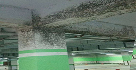 停車場發(fā)霉