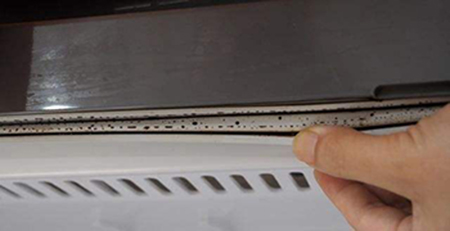 冰箱封條發(fā)霉