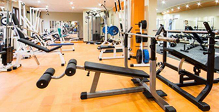 健身器材 健身器材