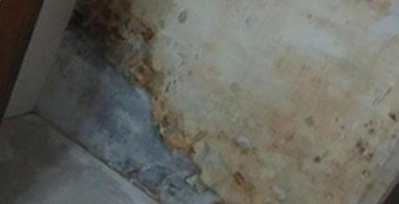 廁所墻壁發(fā)霉