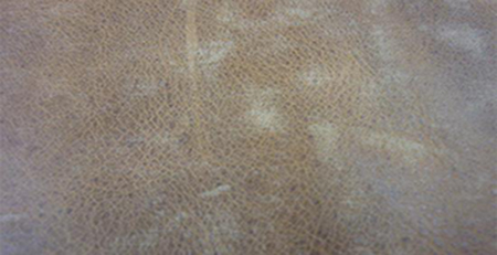 瘋馬油皮發(fā)霉 瘋馬油皮發(fā)霉