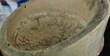 竹筒發(fā)霉 竹筒發(fā)霉