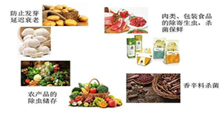 輻照保存 輻照保存