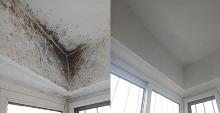 墻面發(fā)霉-除霉效果對(duì)比圖