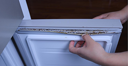 冰箱膠條發(fā)霉