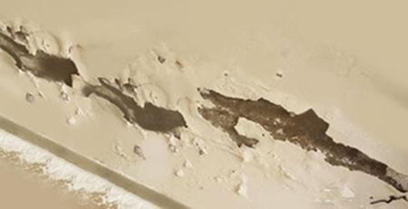 衛(wèi)生間墻面泛堿 衛(wèi)生間墻面泛堿