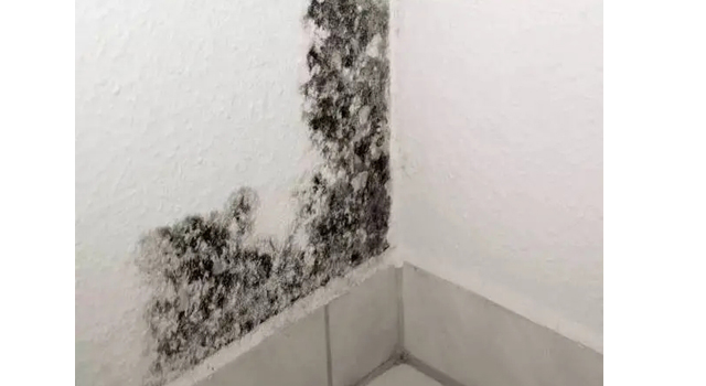 1659772434607674.jpg 00.jpg