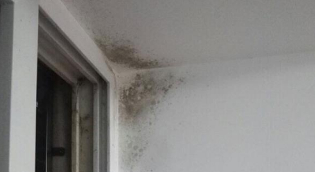 1661501603859970.jpg 白墻發(fā)霉2.jpg