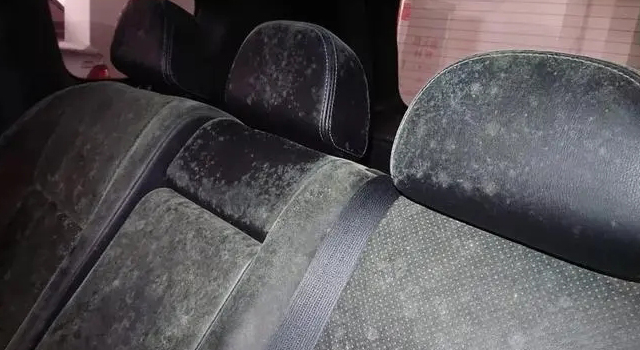 1663232266712219.jpg 汽車坐騎發(fā)霉.webp.jpg